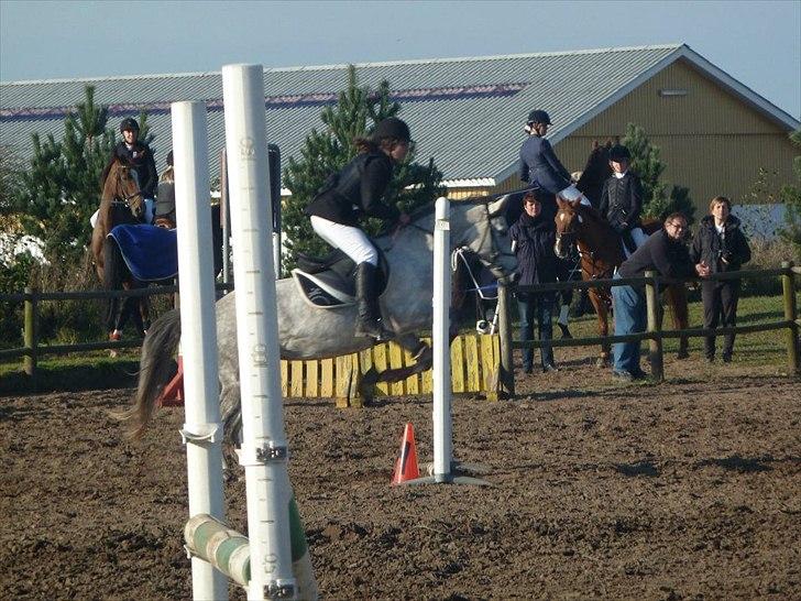 Stævne på snorregården i langholt billede 61