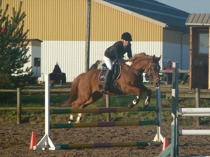 Stævne på snorregården i langholt billede 62