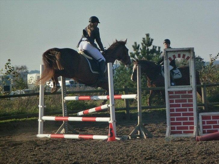 Stævne på snorregården i langholt billede 63