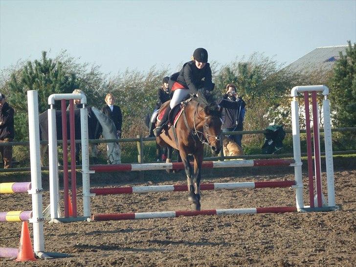 Stævne på snorregården i langholt billede 64