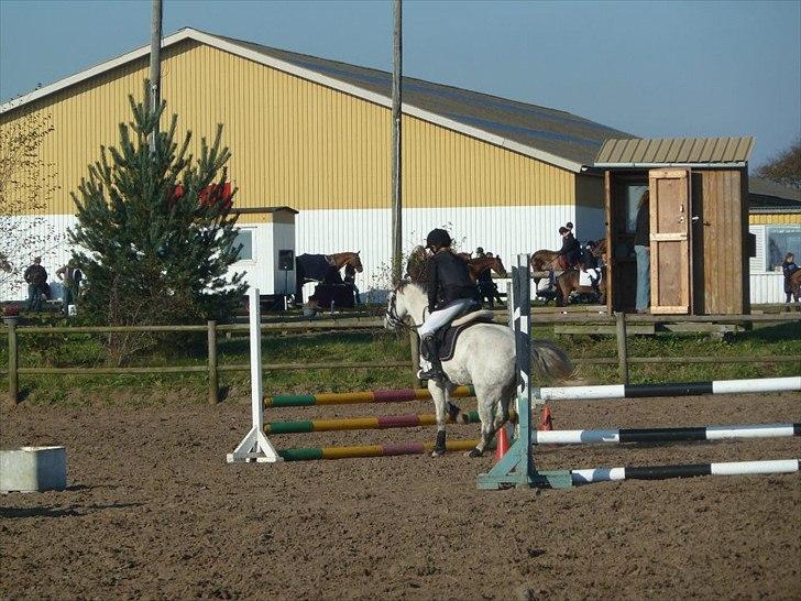 Stævne på snorregården i langholt billede 67