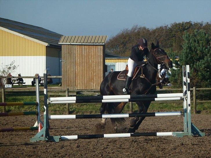Stævne på snorregården i langholt billede 68