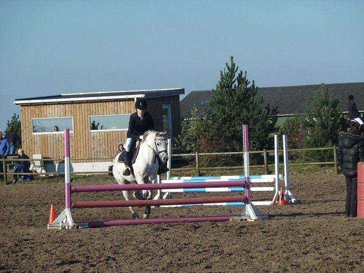 Stævne på snorregården i langholt billede 70