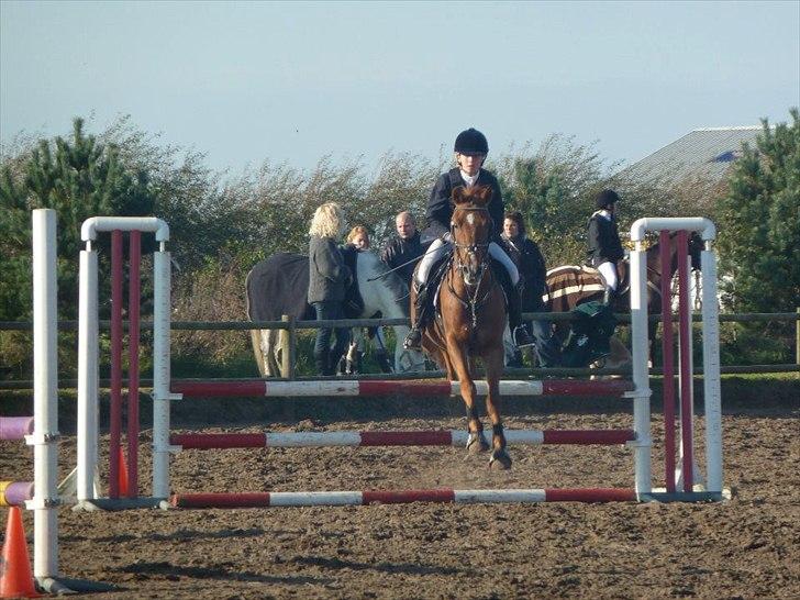 Stævne på snorregården i langholt billede 71