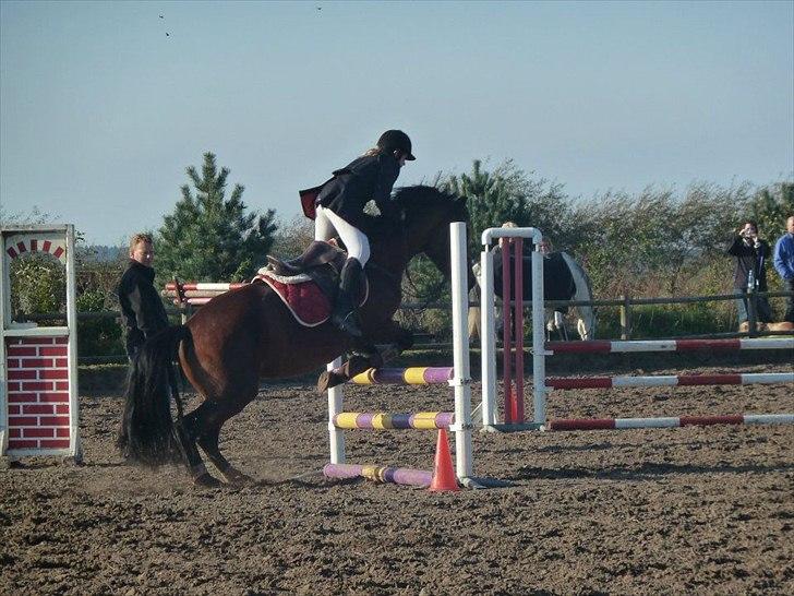 Stævne på snorregården i langholt billede 72