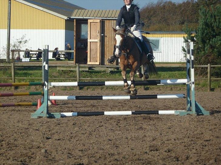 Stævne på snorregården i langholt billede 73