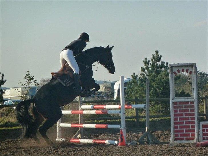 Stævne på snorregården i langholt billede 74