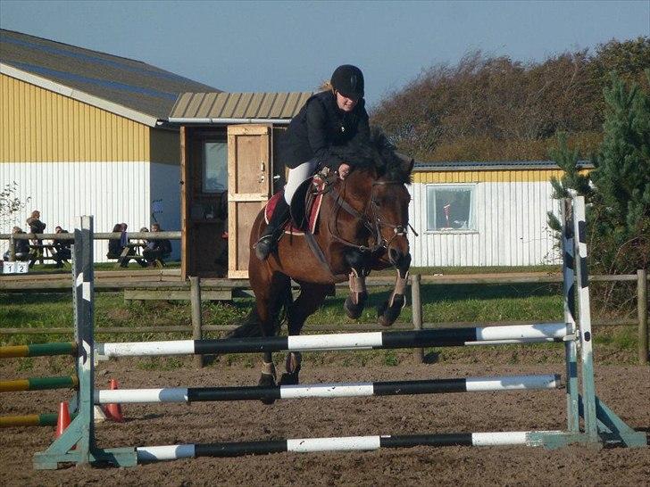 Stævne på snorregården i langholt billede 75