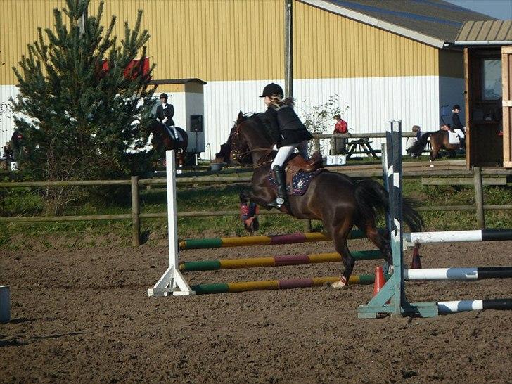 Stævne på snorregården i langholt billede 76