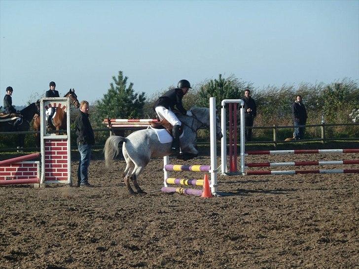 Stævne på snorregården i langholt billede 78