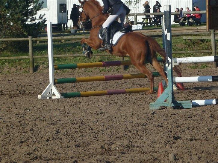Stævne på snorregården i langholt billede 86