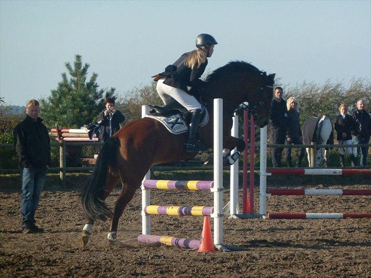 Stævne på snorregården i langholt billede 87