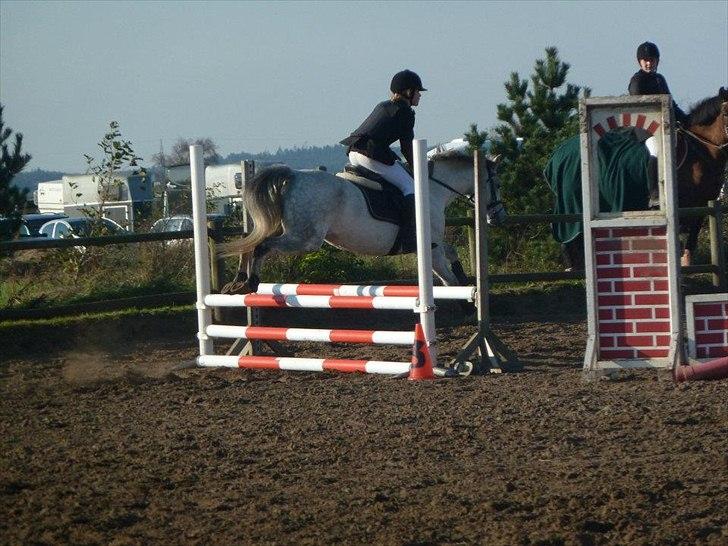 Stævne på snorregården i langholt billede 94