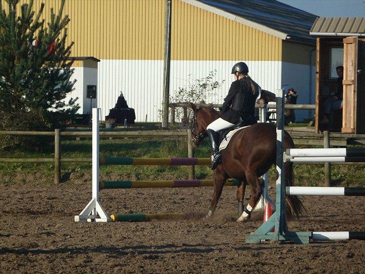 Stævne på snorregården i langholt billede 96