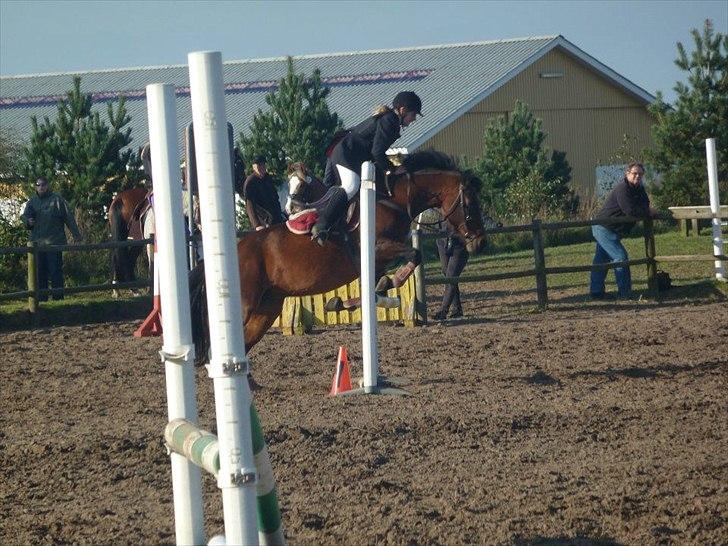 Stævne på snorregården i langholt billede 97
