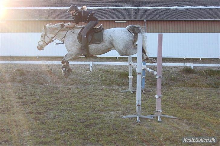 Spring træning på Junker da vi startede sammen - 100 cm billede 1
