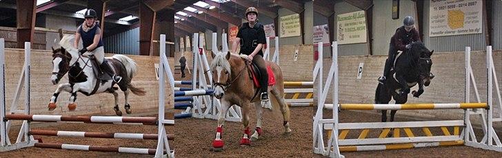 Spring-kursus med Niels Chr. Hansen. billede 1