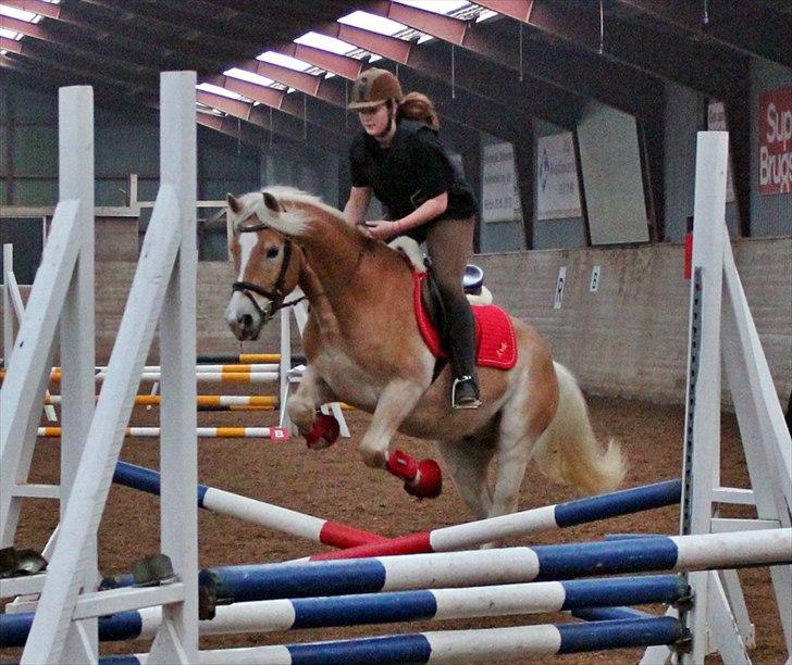 Spring-kursus med Niels Chr. Hansen. billede 2