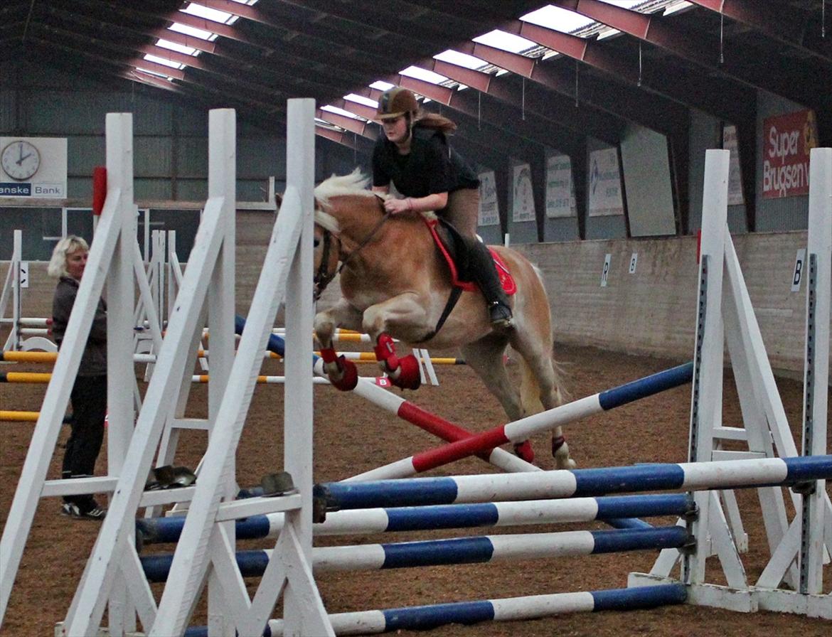 Spring-kursus med Niels Chr. Hansen. billede 3