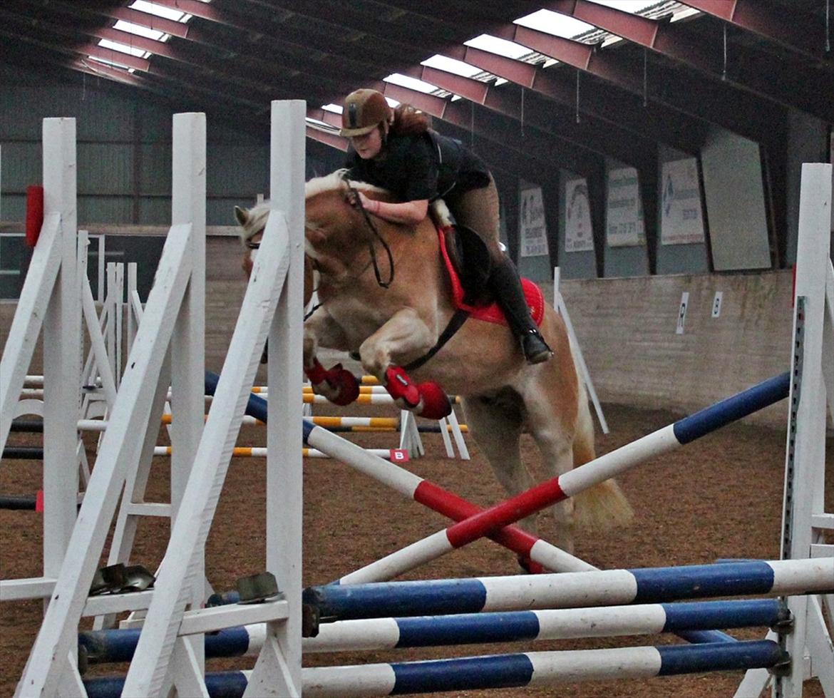 Spring-kursus med Niels Chr. Hansen. billede 4