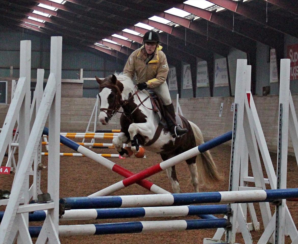 Spring-kursus med Niels Chr. Hansen. billede 5