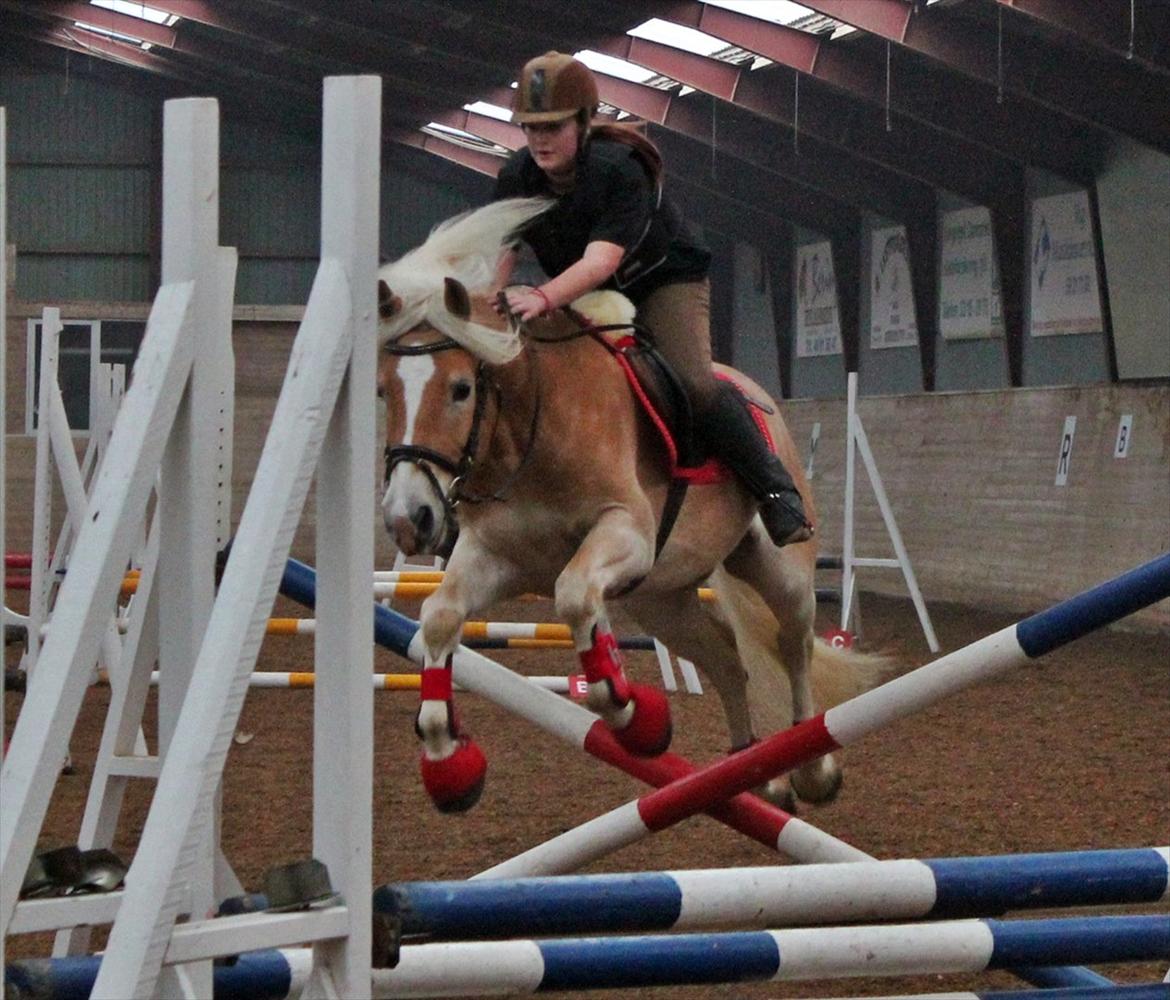 Spring-kursus med Niels Chr. Hansen. billede 6