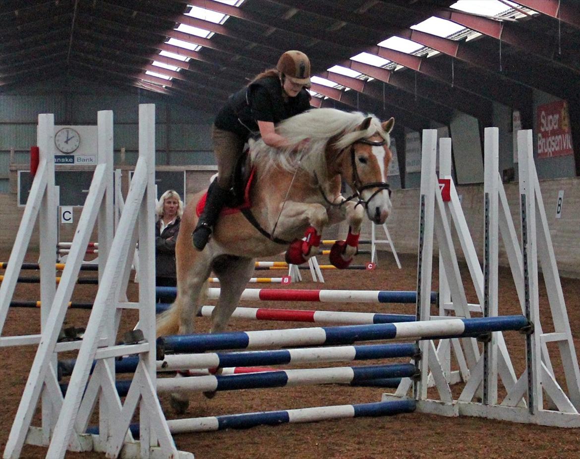 Spring-kursus med Niels Chr. Hansen. billede 8