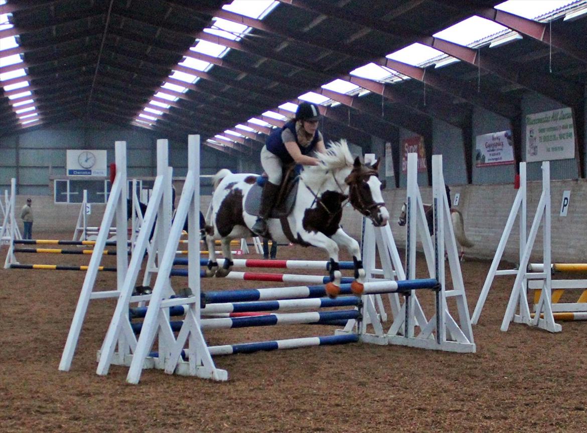 Spring-kursus med Niels Chr. Hansen. billede 9