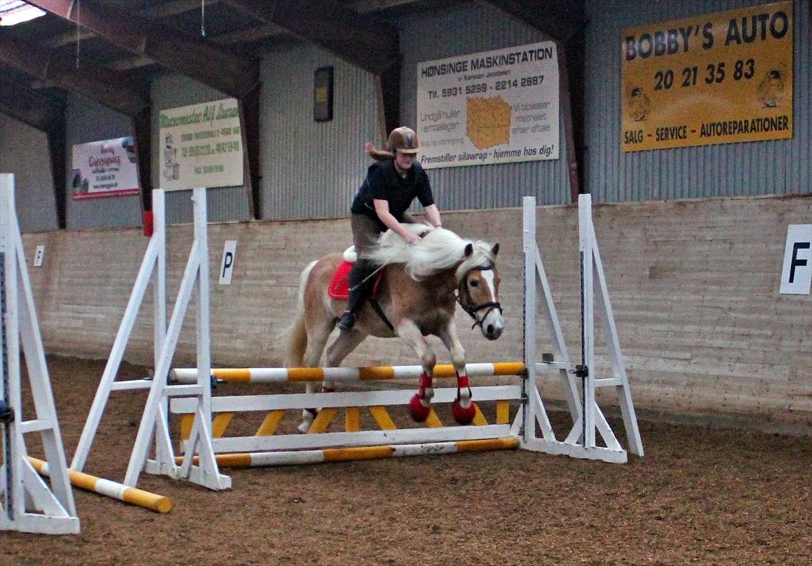 Spring-kursus med Niels Chr. Hansen. billede 10