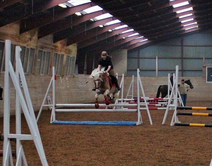 Spring-kursus med Niels Chr. Hansen. billede 11