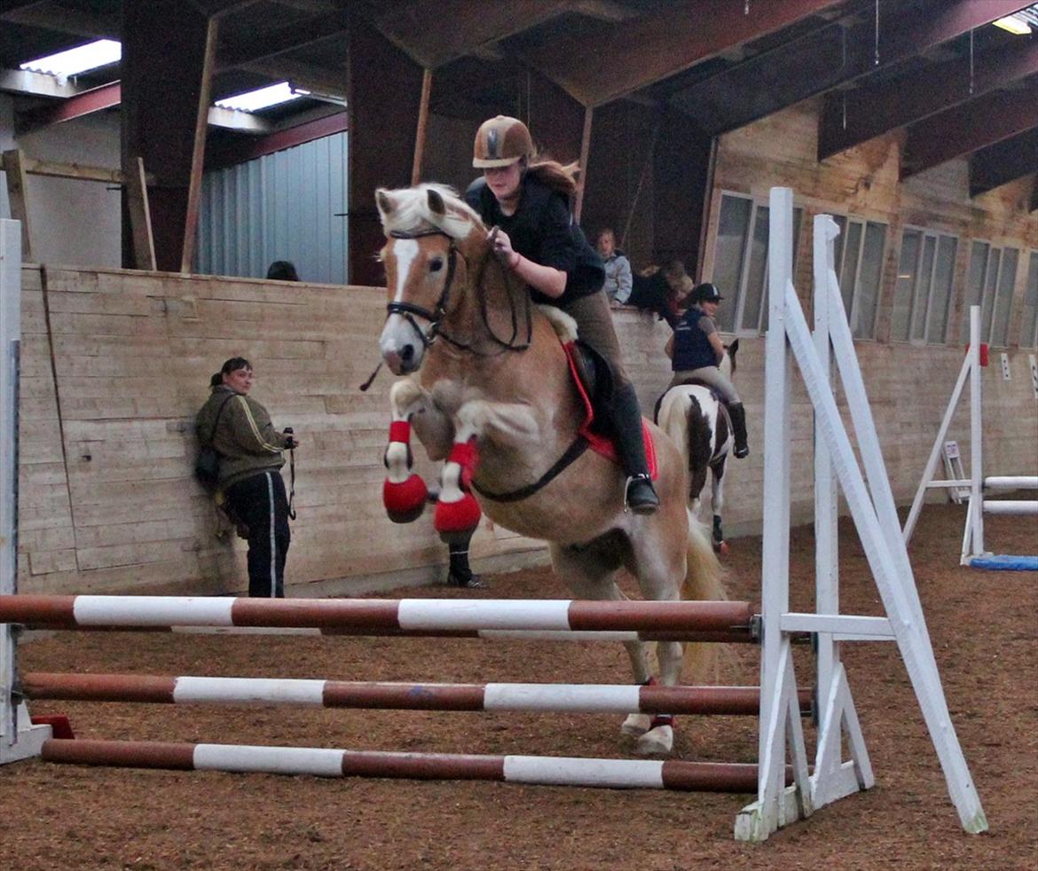 Spring-kursus med Niels Chr. Hansen. billede 12