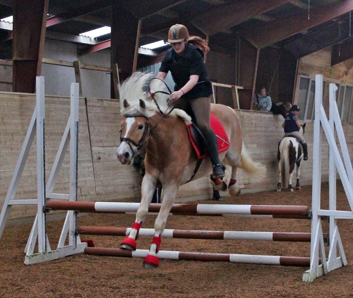 Spring-kursus med Niels Chr. Hansen. billede 13