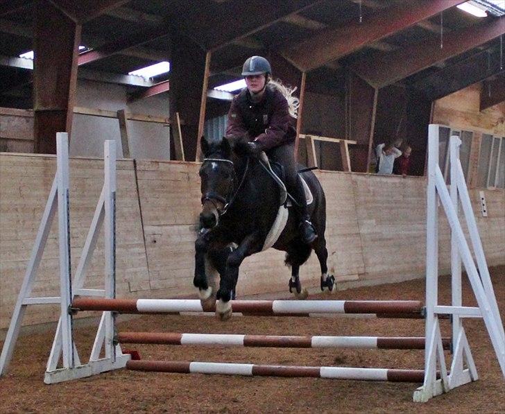 Spring-kursus med Niels Chr. Hansen. billede 15