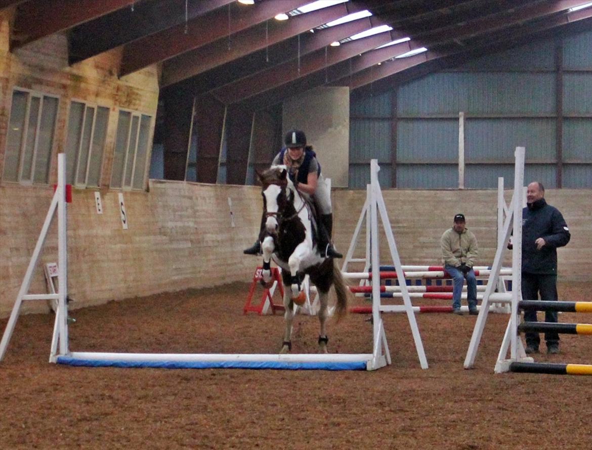 Spring-kursus med Niels Chr. Hansen. billede 17