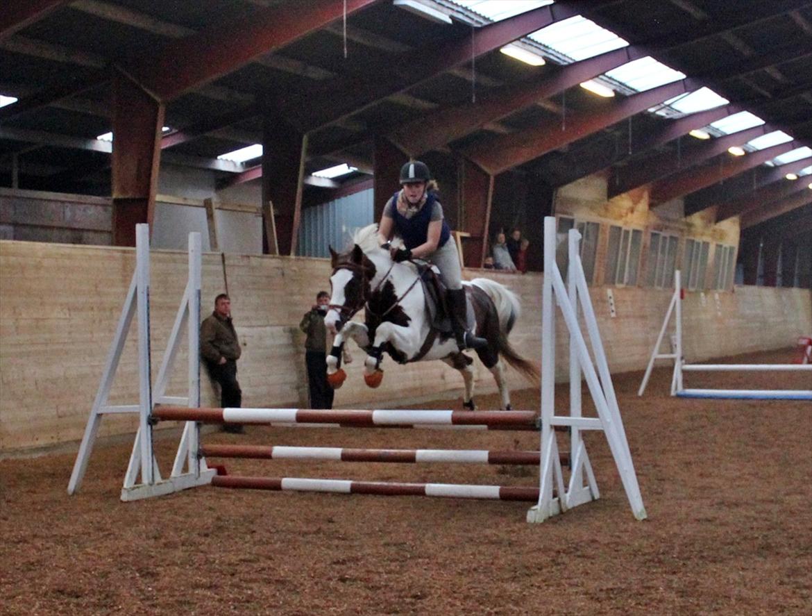 Spring-kursus med Niels Chr. Hansen. billede 19