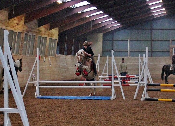 Spring-kursus med Niels Chr. Hansen. billede 22