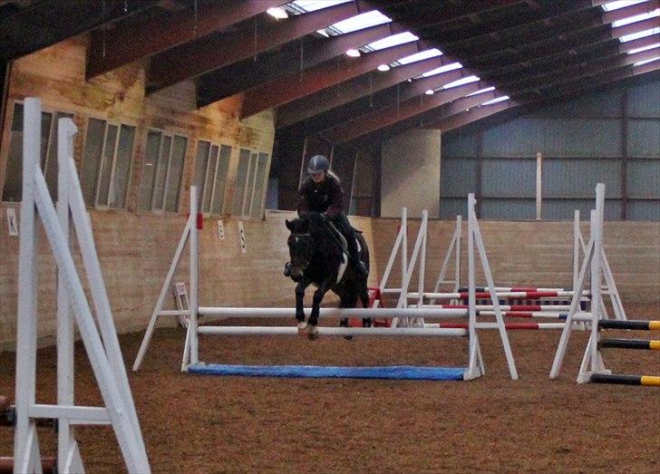 Spring-kursus med Niels Chr. Hansen. billede 23