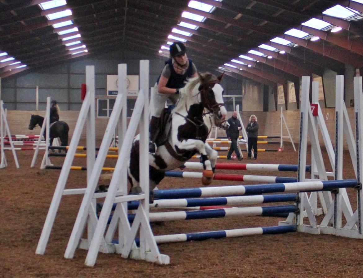 Spring-kursus med Niels Chr. Hansen. billede 25