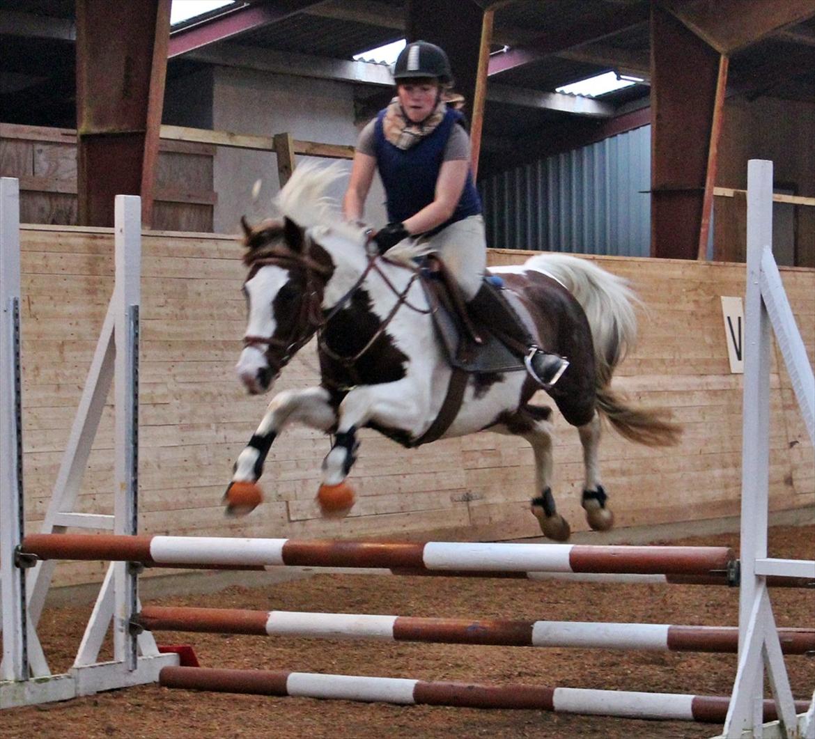 Spring-kursus med Niels Chr. Hansen. billede 29