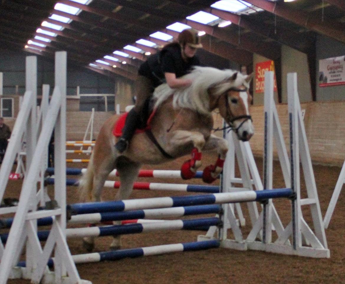 Spring-kursus med Niels Chr. Hansen. billede 30