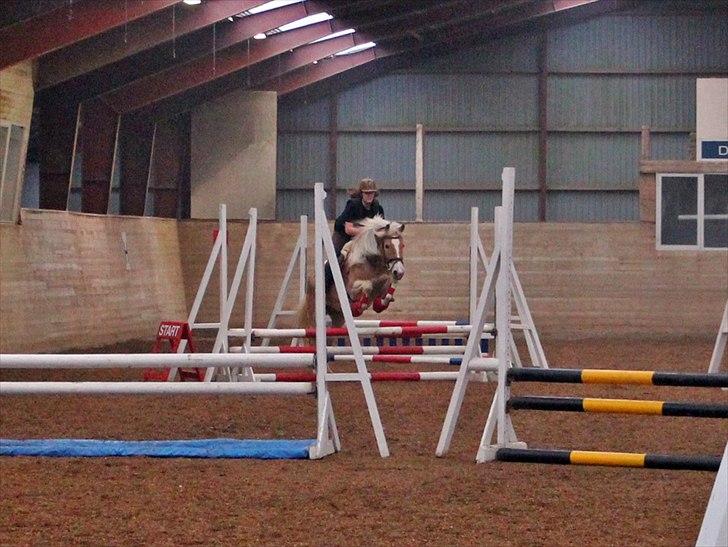 Spring-kursus med Niels Chr. Hansen. billede 31