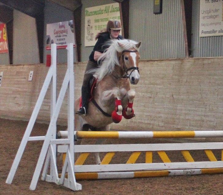 Spring-kursus med Niels Chr. Hansen. billede 32