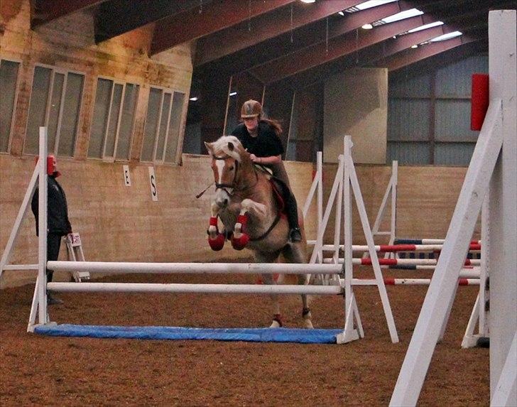 Spring-kursus med Niels Chr. Hansen. billede 34