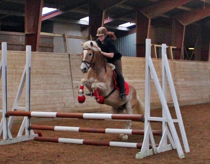 Spring-kursus med Niels Chr. Hansen. billede 35