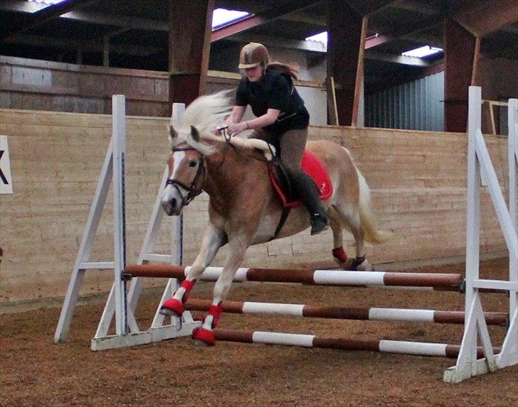 Spring-kursus med Niels Chr. Hansen. billede 36