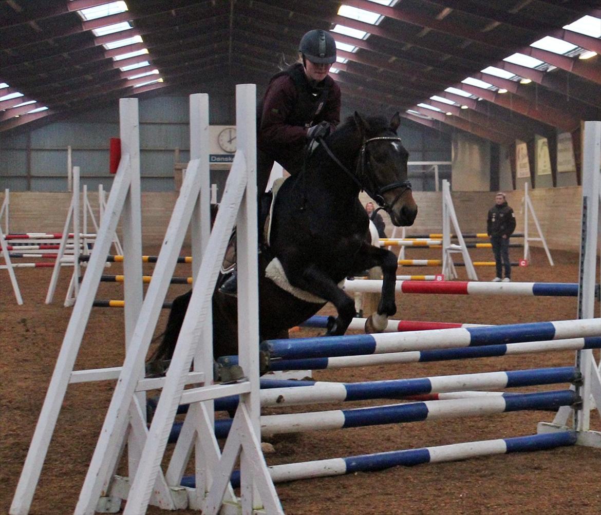 Spring-kursus med Niels Chr. Hansen. billede 37