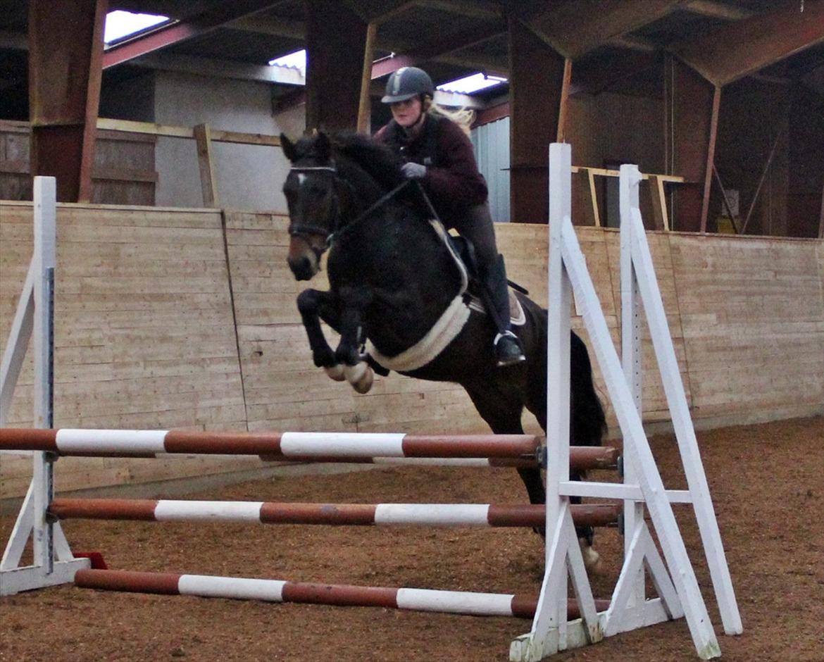 Spring-kursus med Niels Chr. Hansen. billede 41