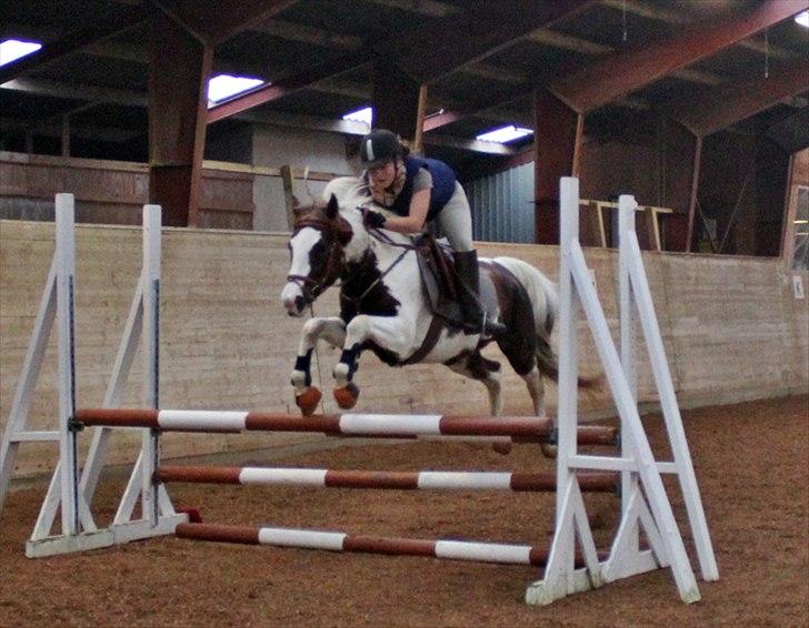 Spring-kursus med Niels Chr. Hansen. billede 46