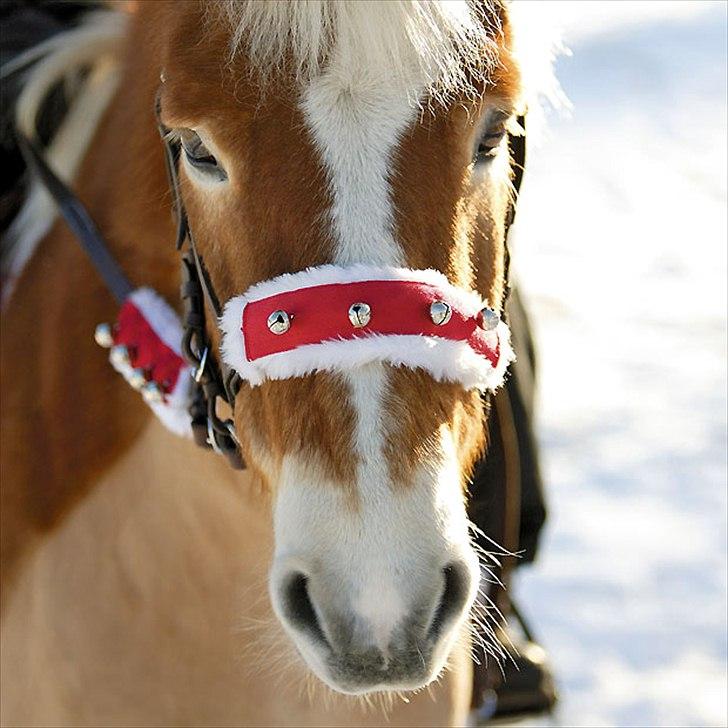 Jule/konfirmation´s ønsker :) - bjældesæt billede 7