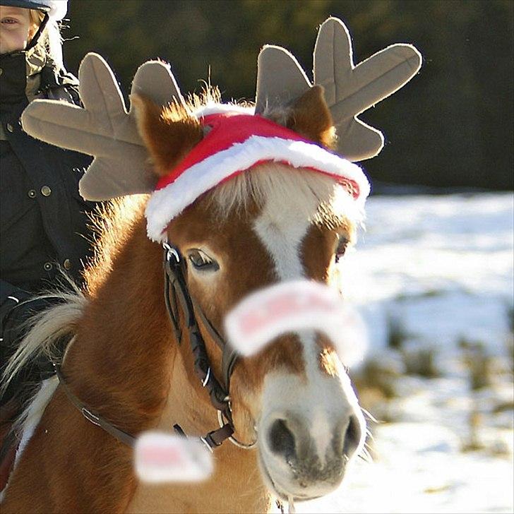 Jule/konfirmation´s ønsker :) - gevirhue billede 12